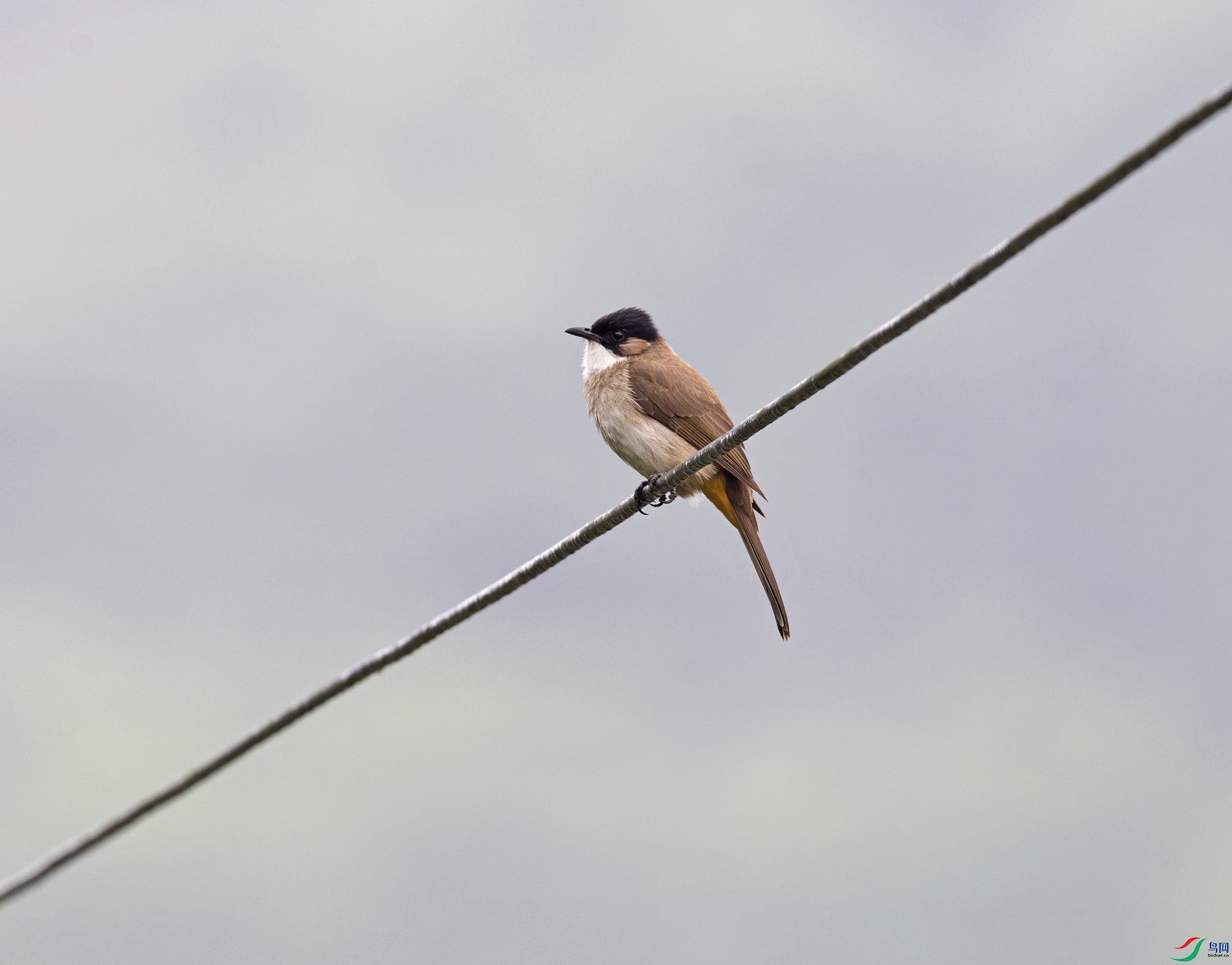DSC_9723.jpg