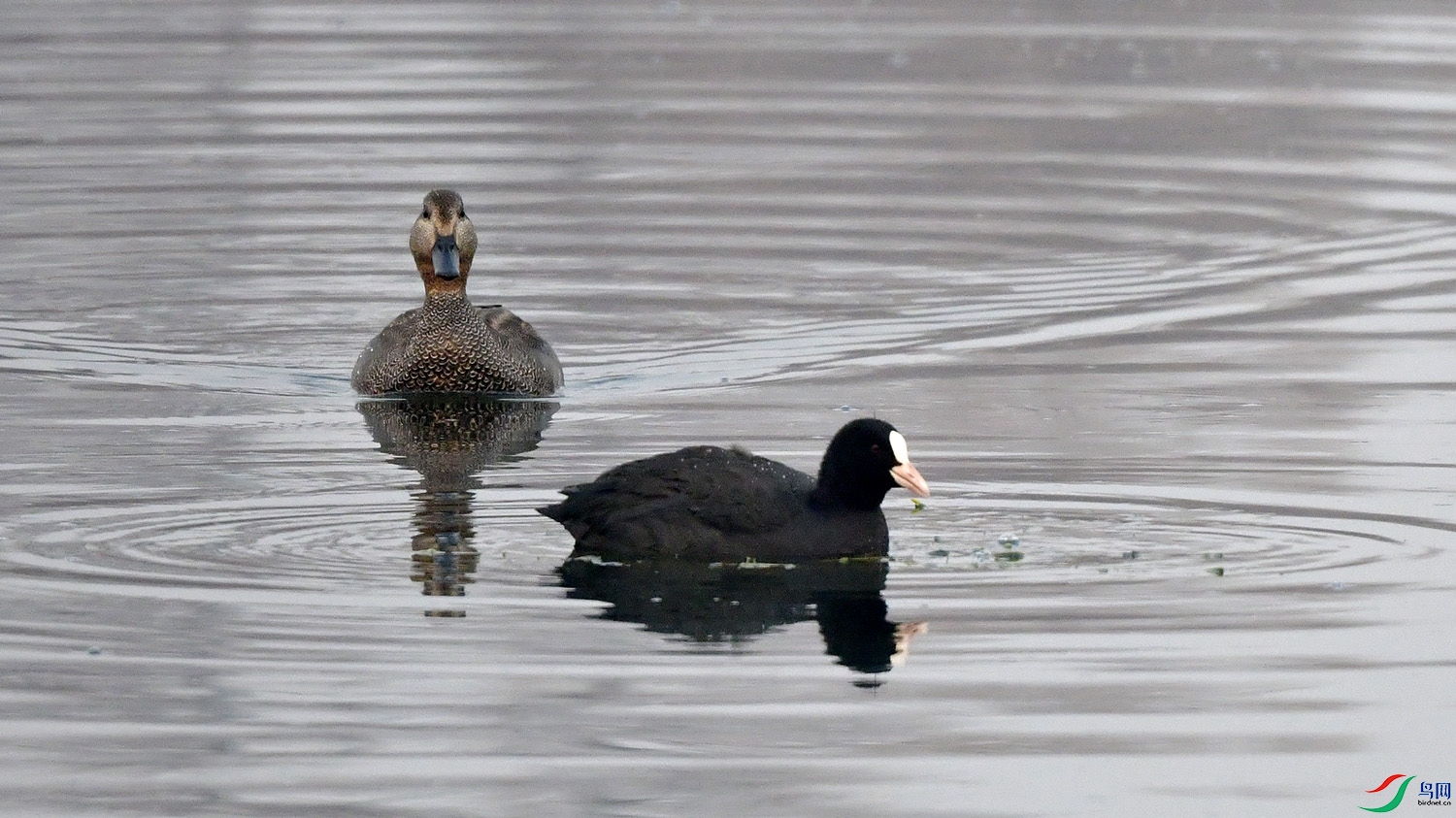 DSC_3052.jpg