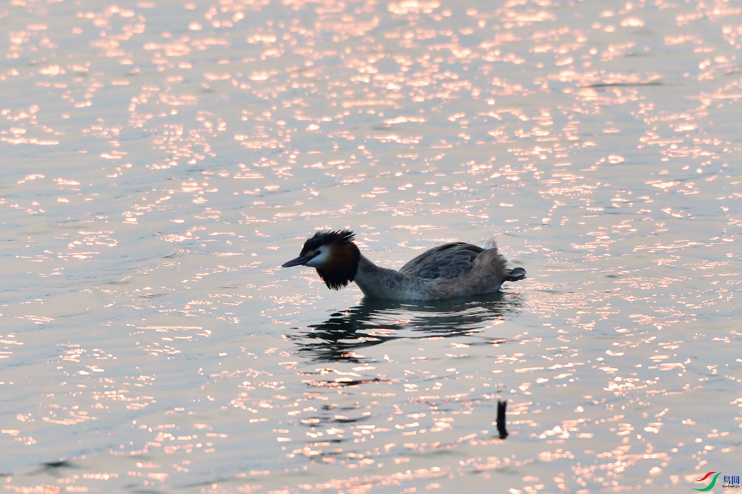 DSC_2876.jpg