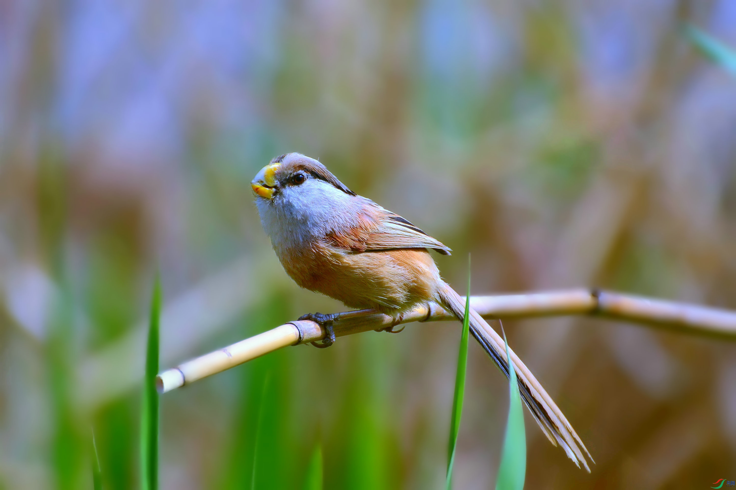 DSC_4791.JPG
