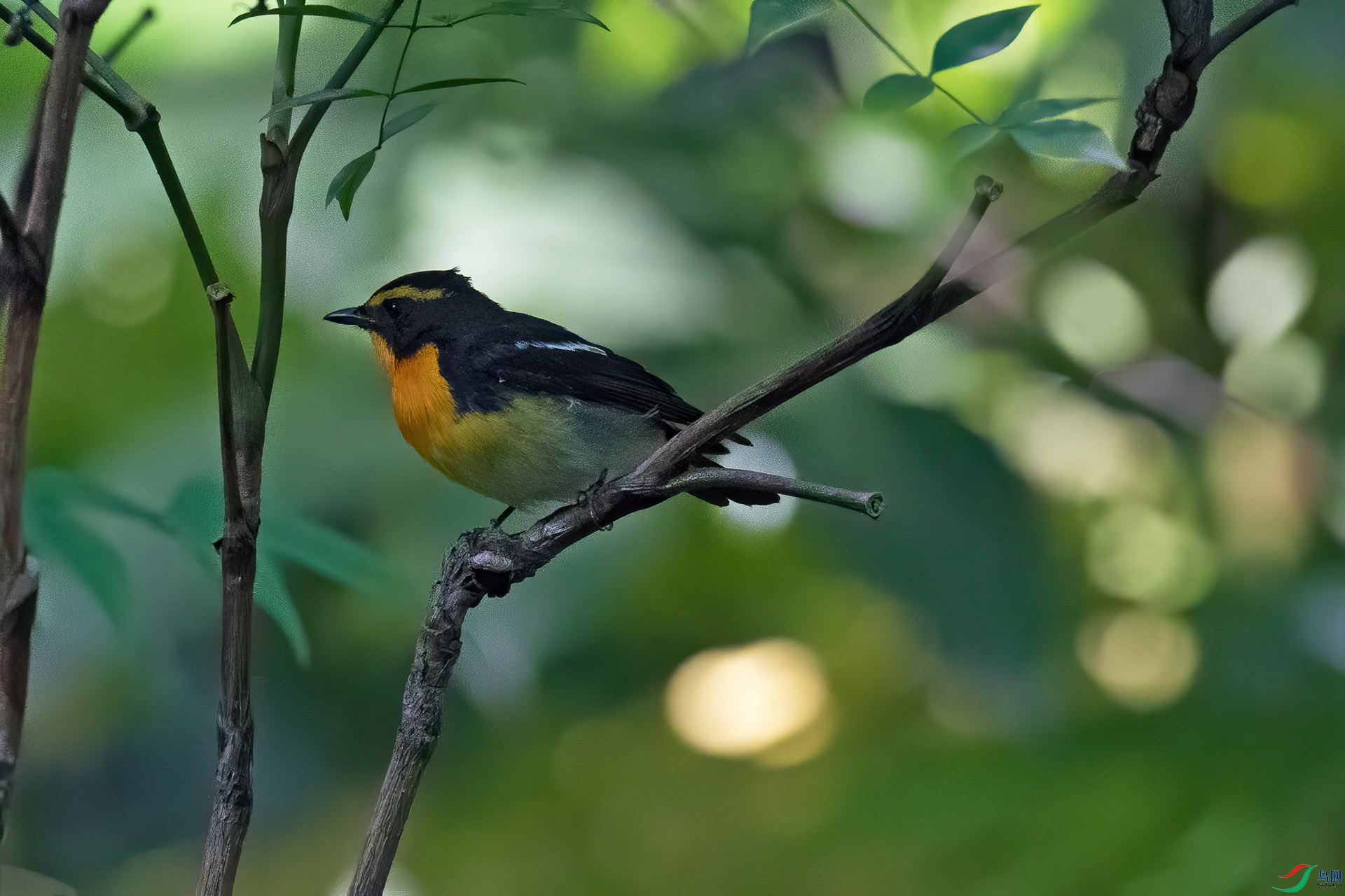 _DSC3893-1-Dn.jpg