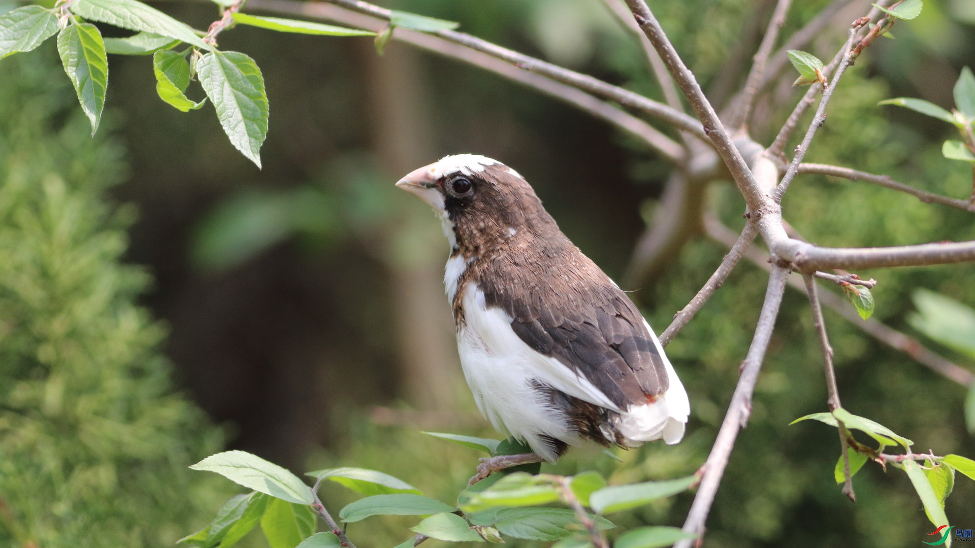 ��ѯ����