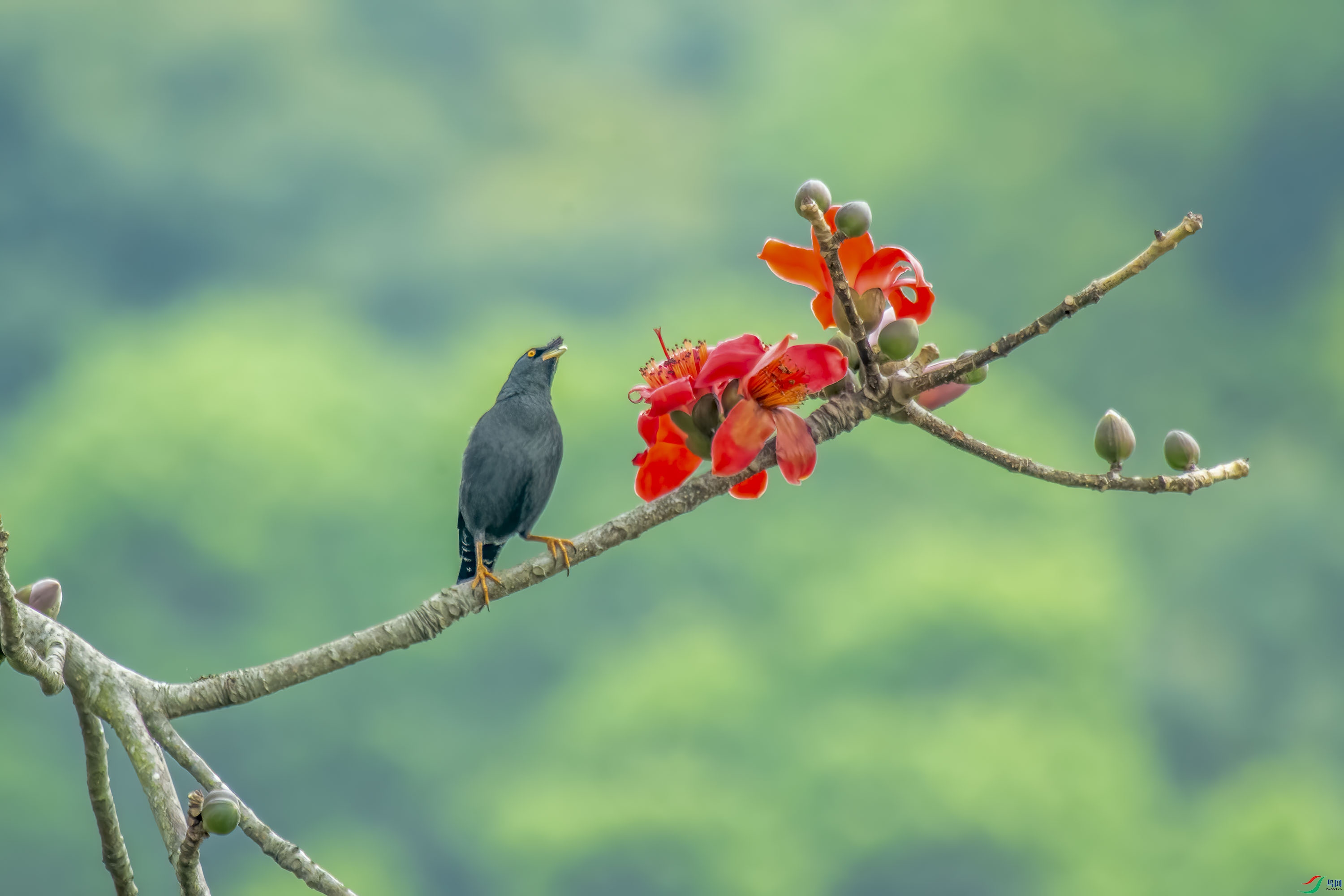 ��2��DSC_7251���˸�����ޣ������ڹ��� ��.jpg