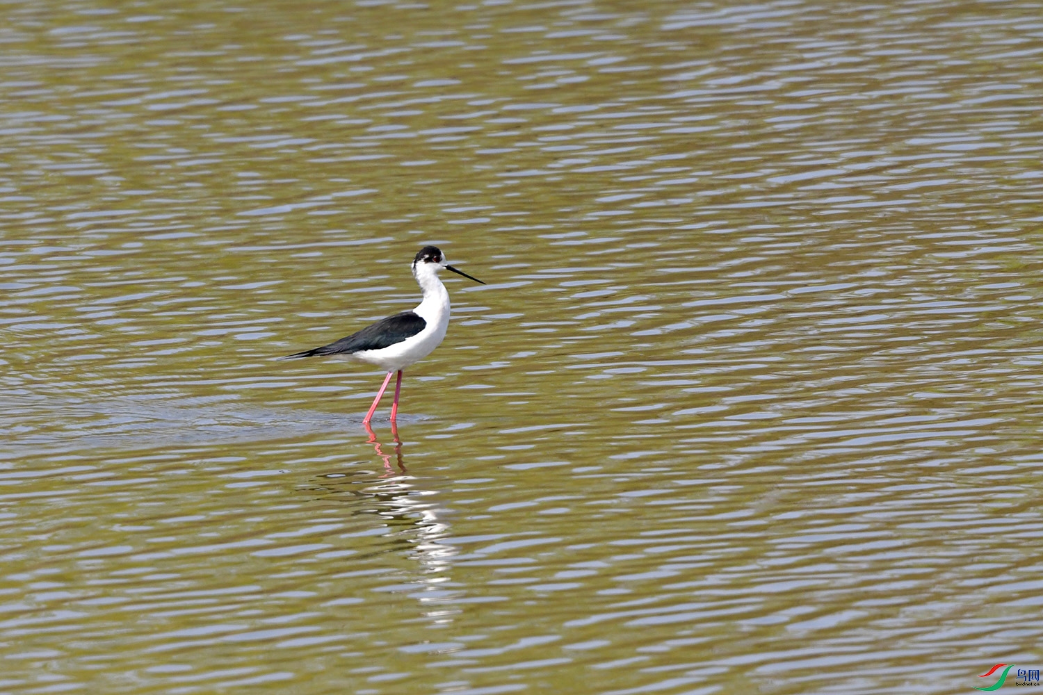 DSC_1322.jpg