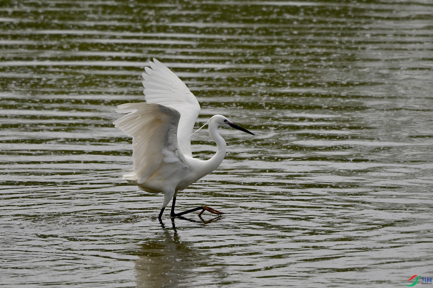 DSC_4721.jpg