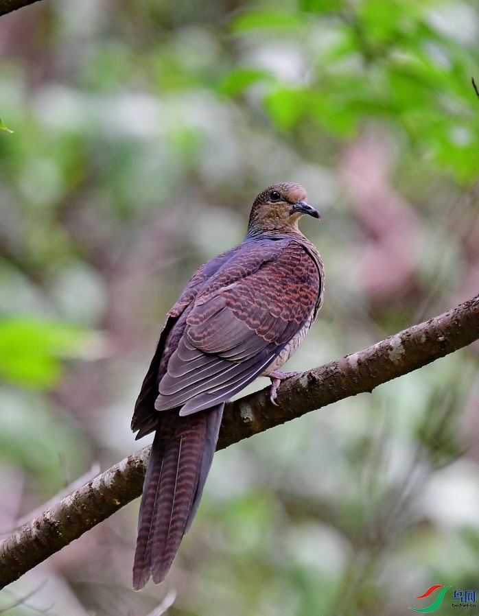 DSC_1480a.JPG