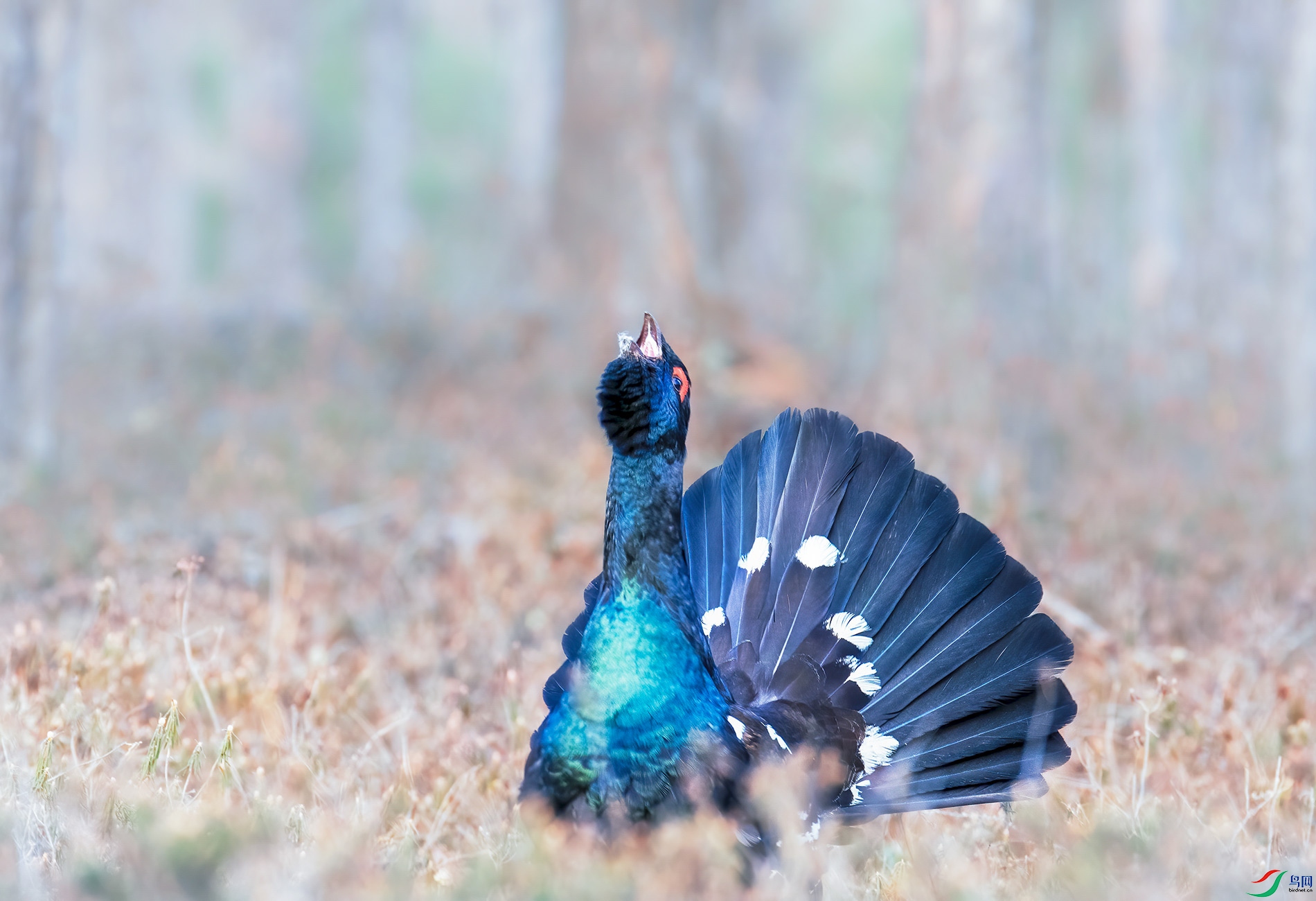 DSC_5543.jpg