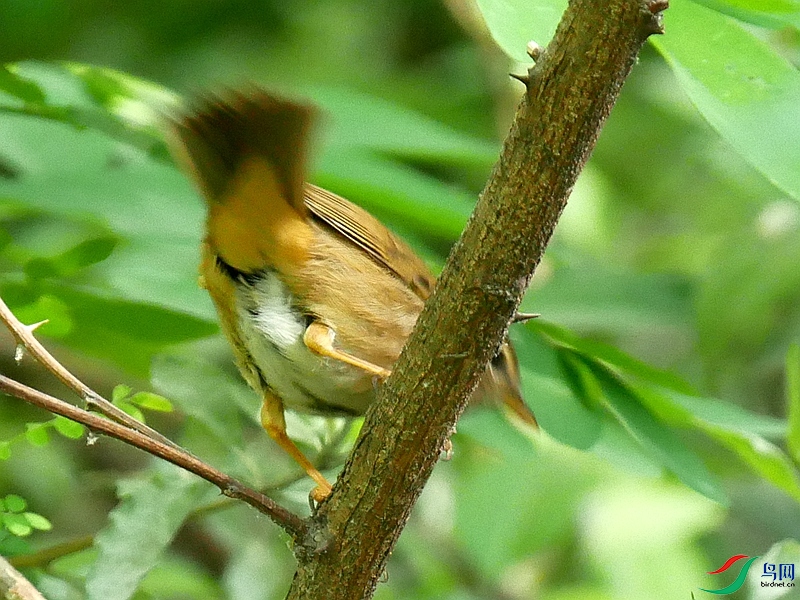 P6530004 - ����.JPG