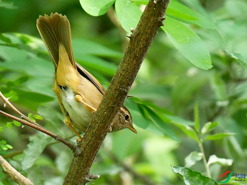 P6530005 - ����.JPG