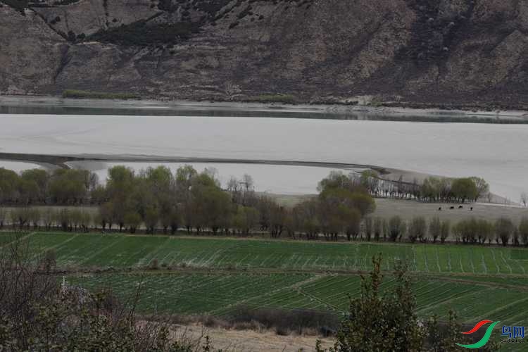 0S2A1736.JPG