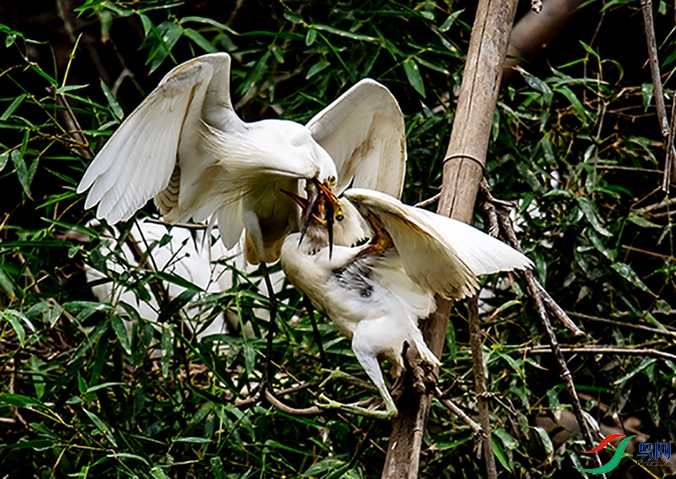 DSC_1661.jpg