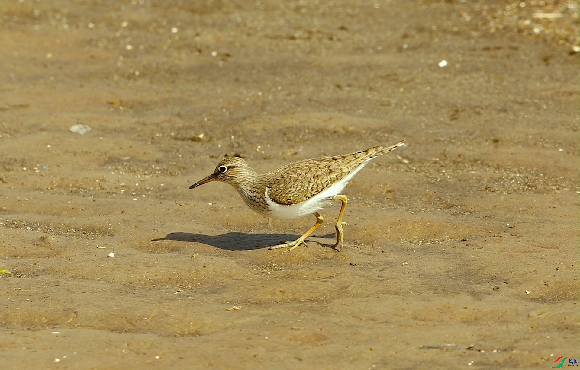 ���� 2031051.JPG