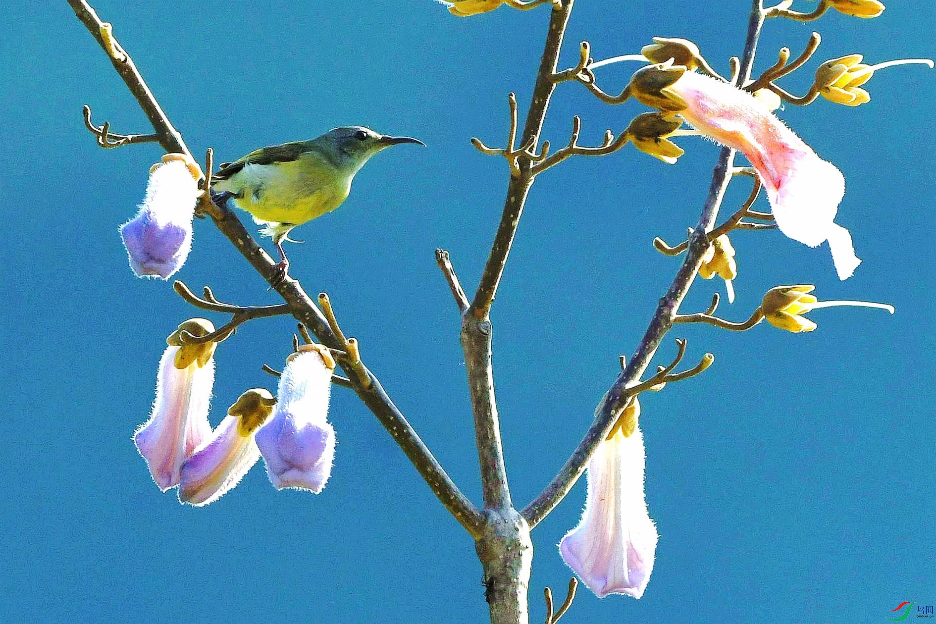 DSC_1872_����.jpg
