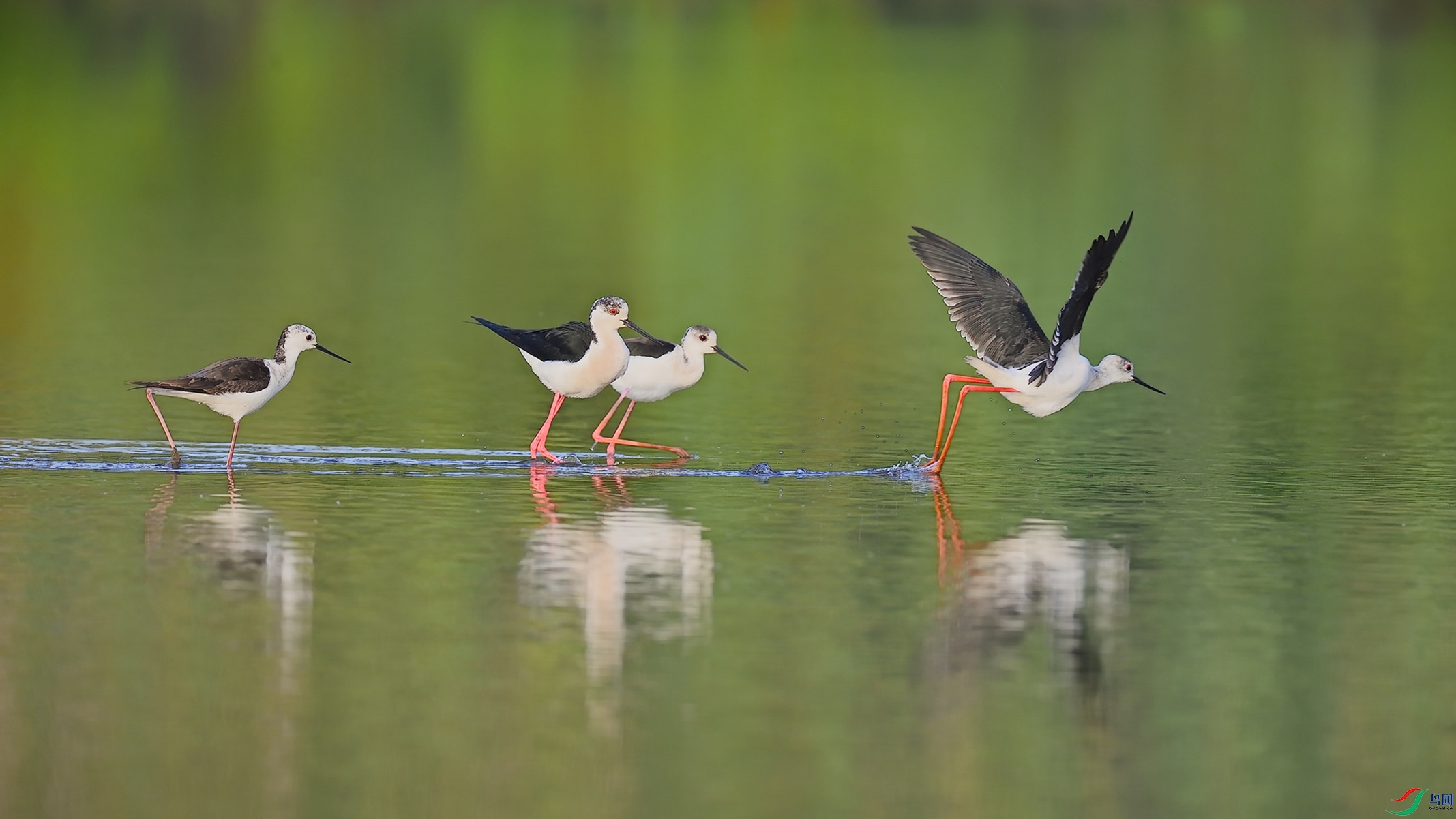 ���ֵĳ���