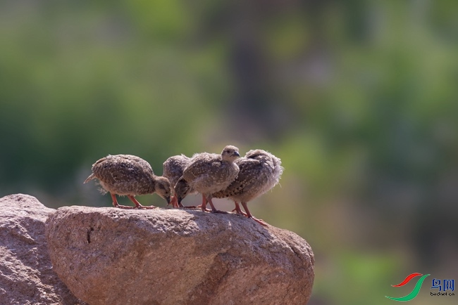 037 (10).jpg