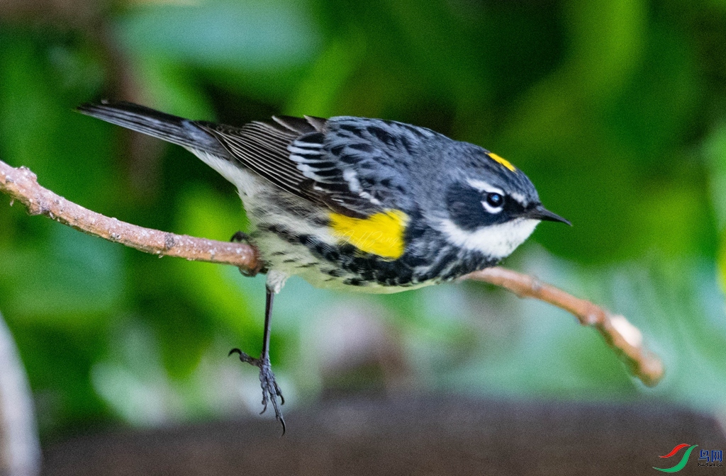 ������ݺ2 500.jpg