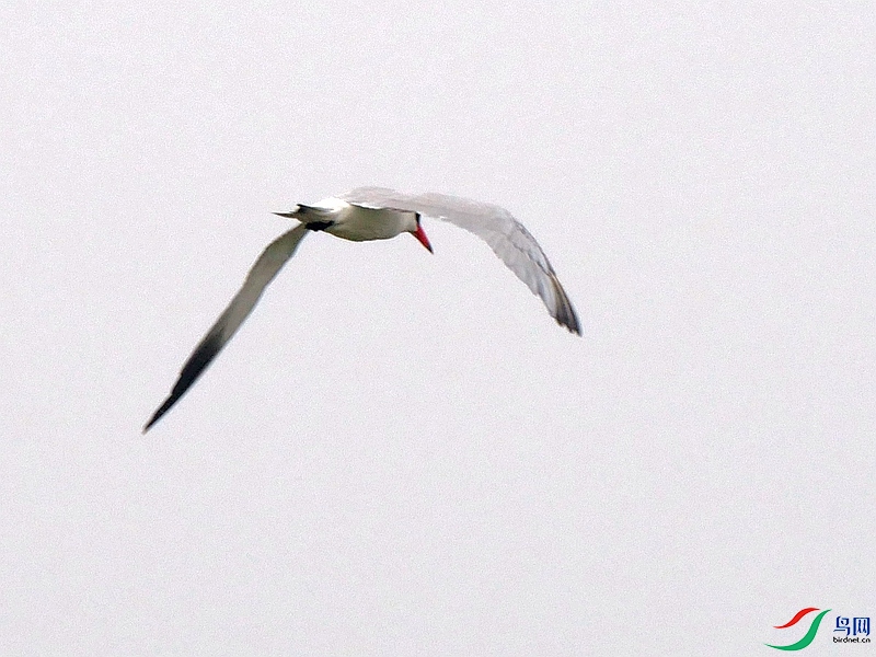 P6460320 - ����.JPG