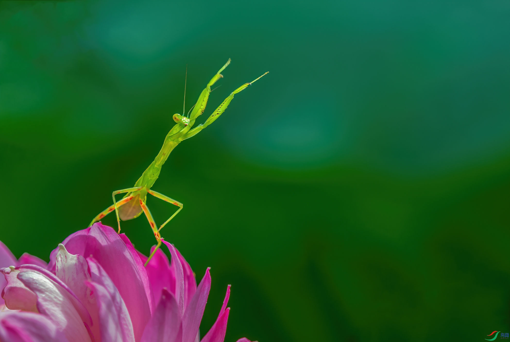 _DSC5007.jpg