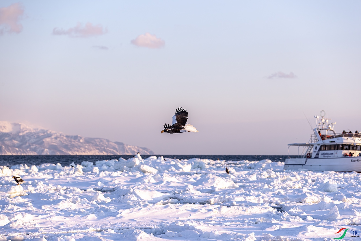 ��ϼ���� .jpg