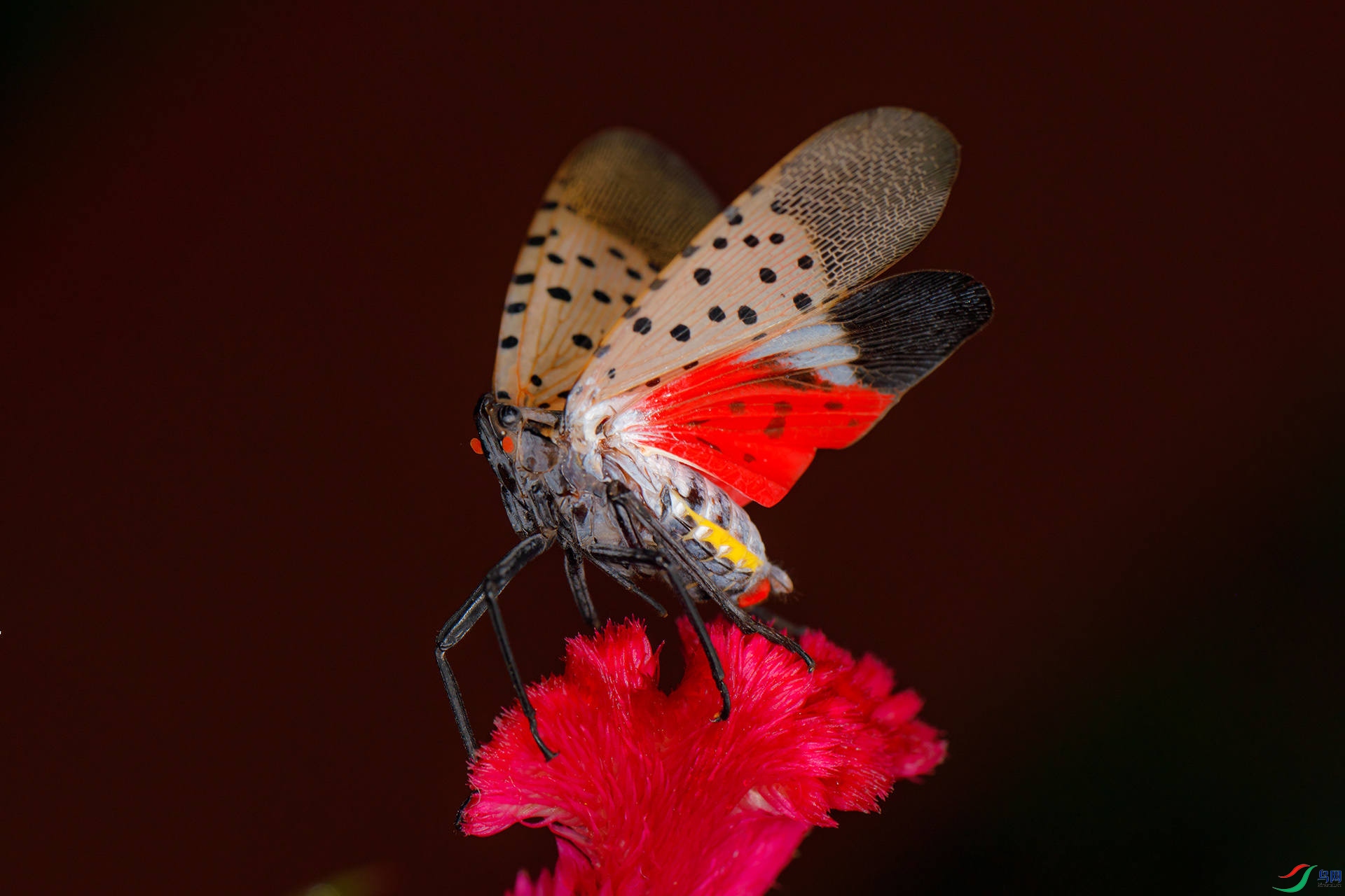 EC6A9511_����_����.jpg