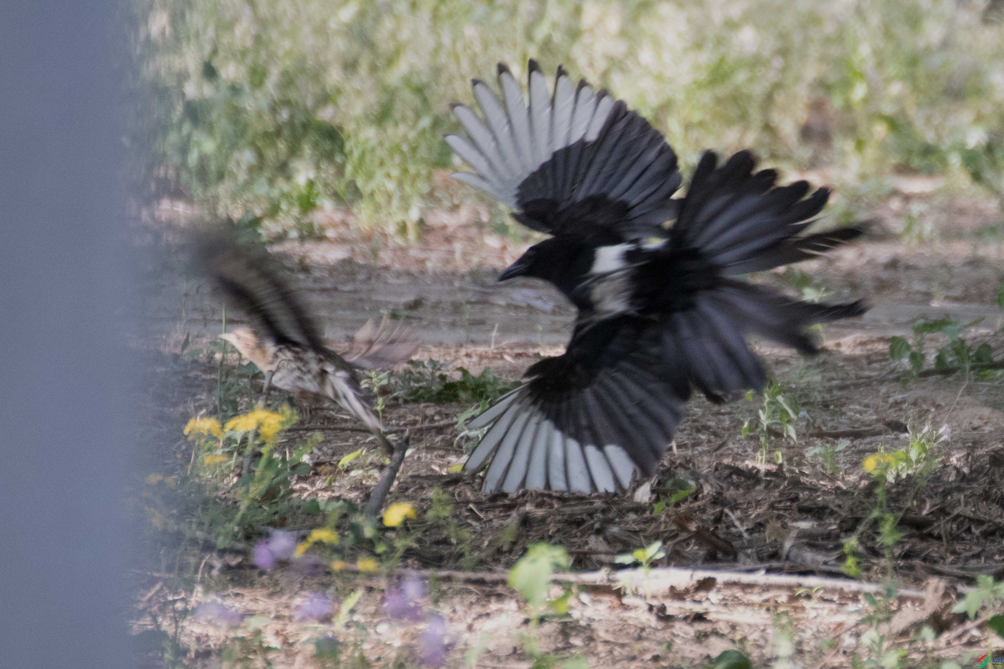 ����4:30����.50�׿���