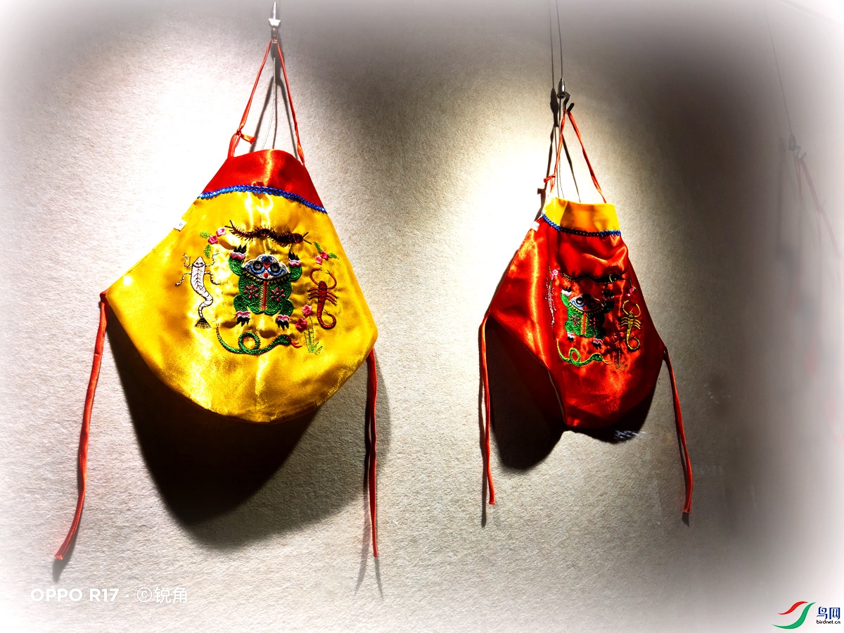 IMG20210501114432.jpg