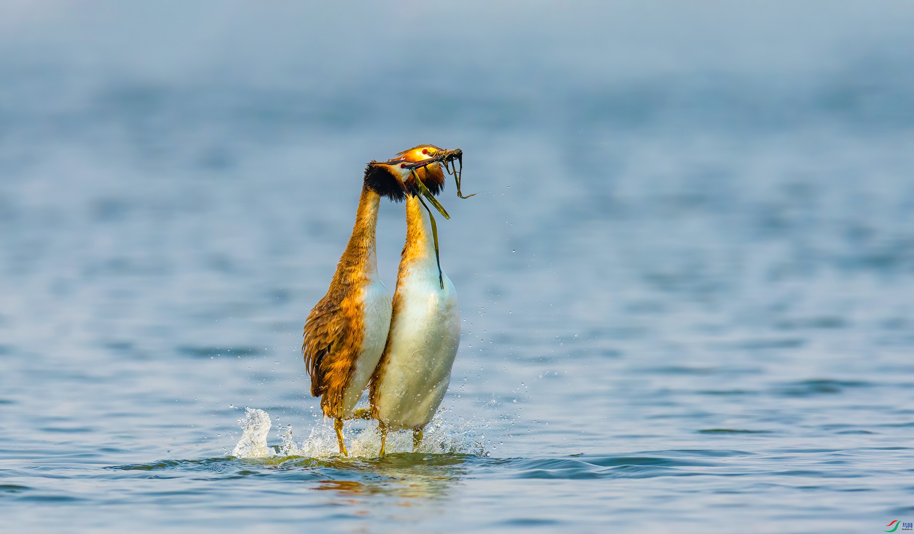 _JLN9432--������--ok (3).jpg