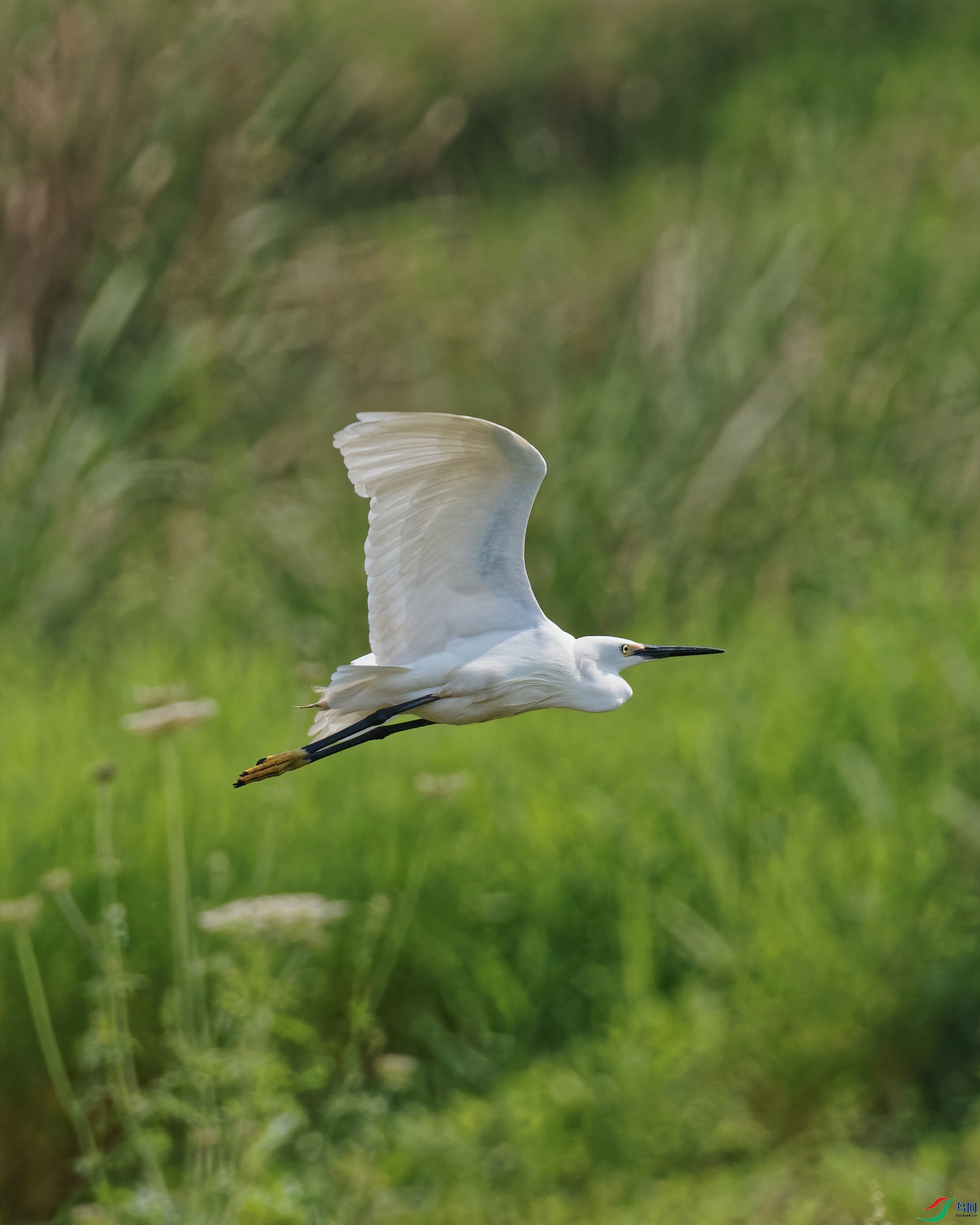 P4220033_DxO-d2.jpg