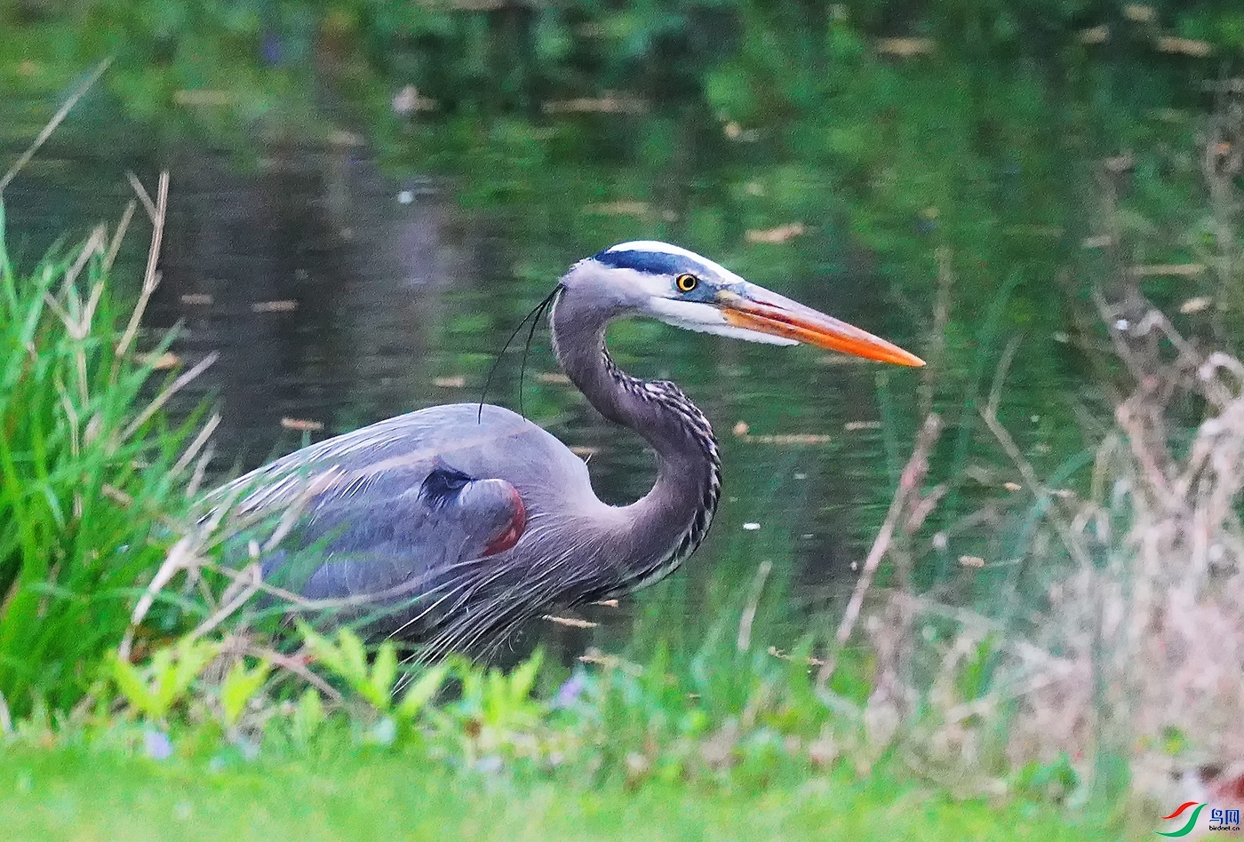 DSC06066----.jpg
