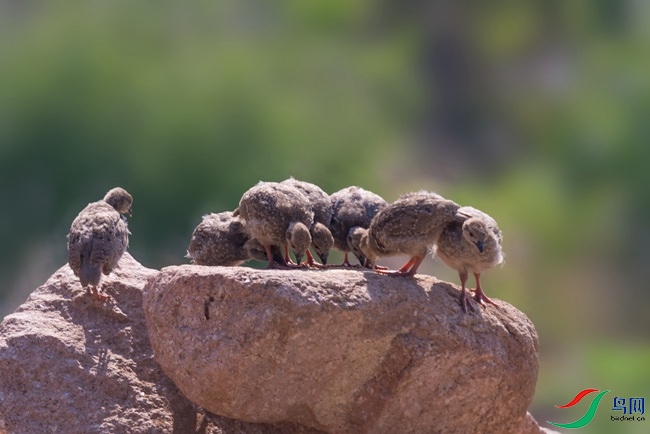 040 (8).jpg
