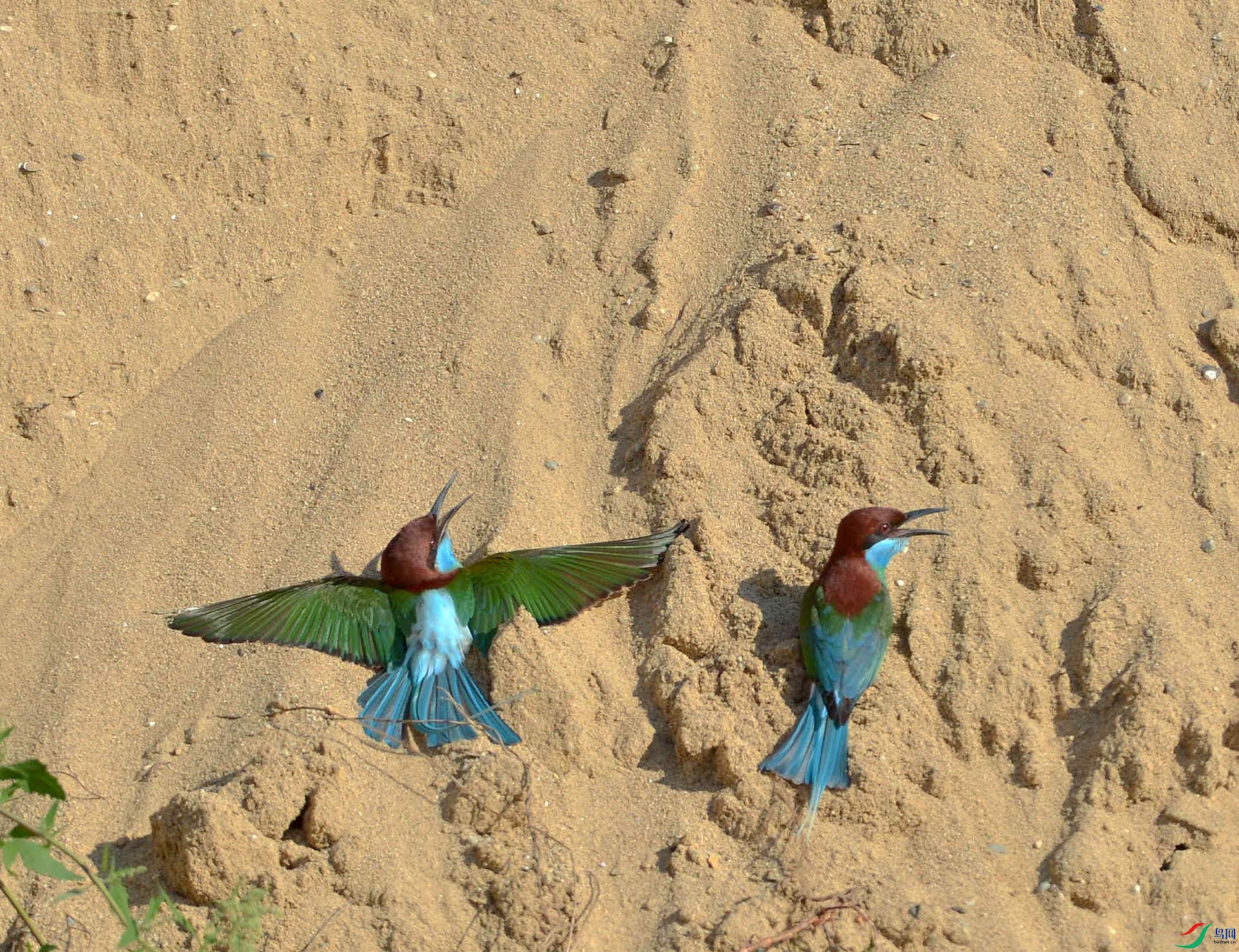 1DS_4137.jpg