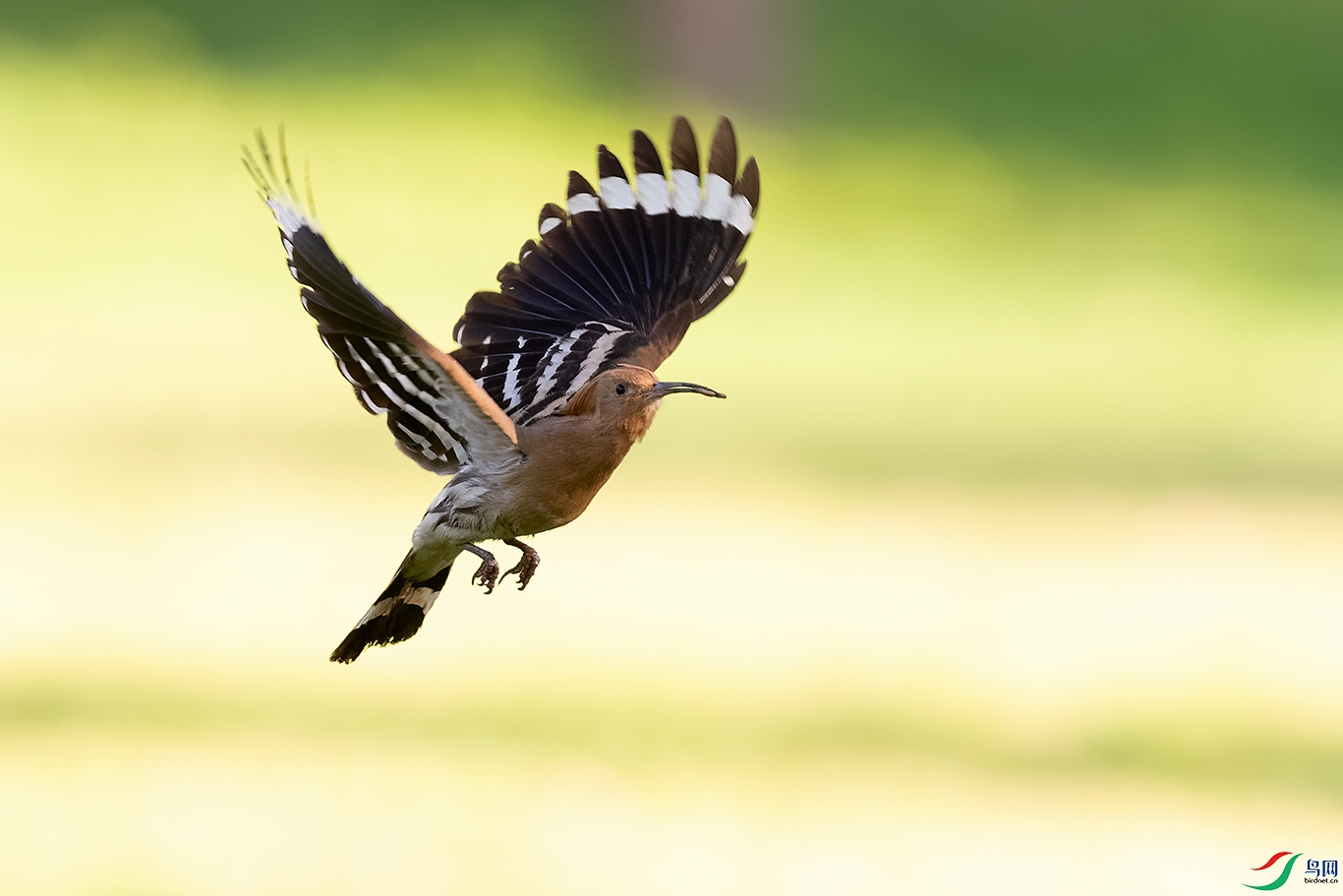 DSC_1237_DxOa.jpg