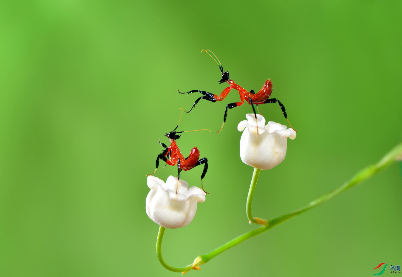 DSC_4337 ��������.jpg