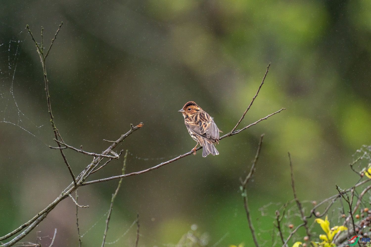 A9D05671a.jpg