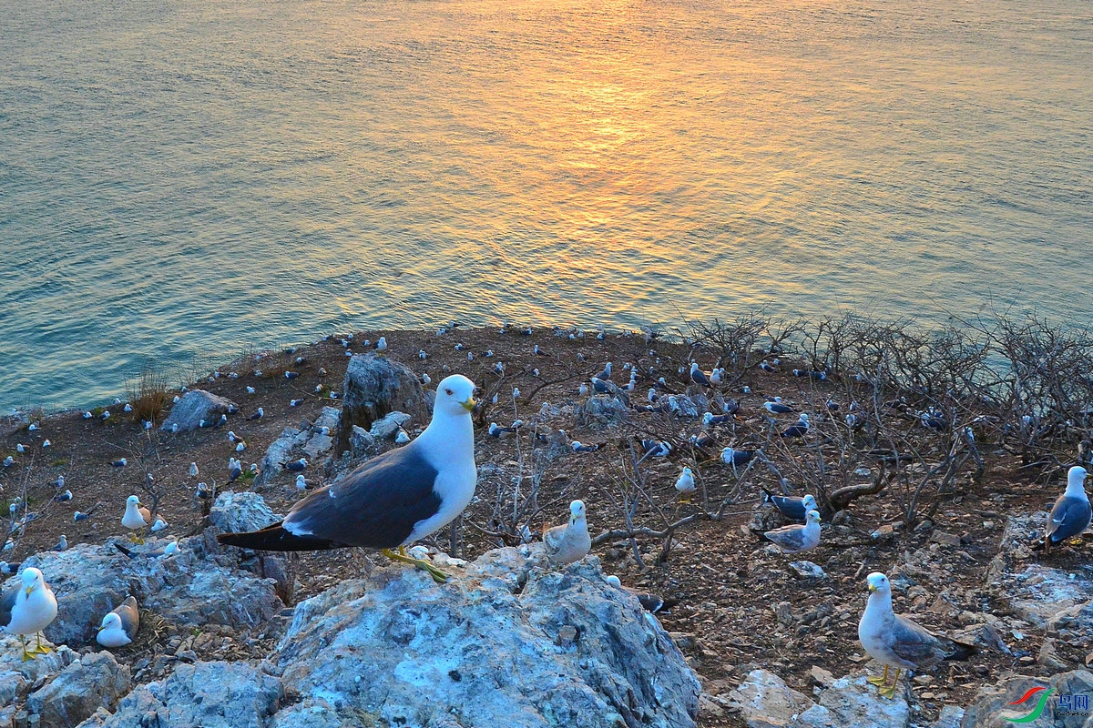 DSC_5595.JPG