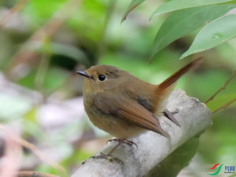 P6550789 - ����.JPG