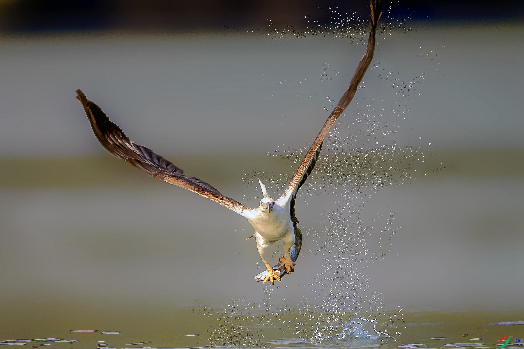 DSC_0680_���� (4)_����_����_����_����.jpg