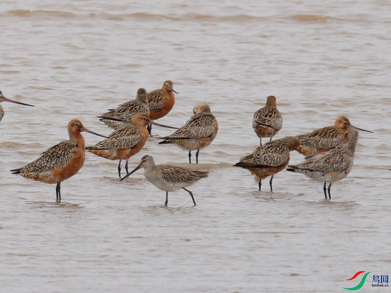 P6490242 - ����.JPG