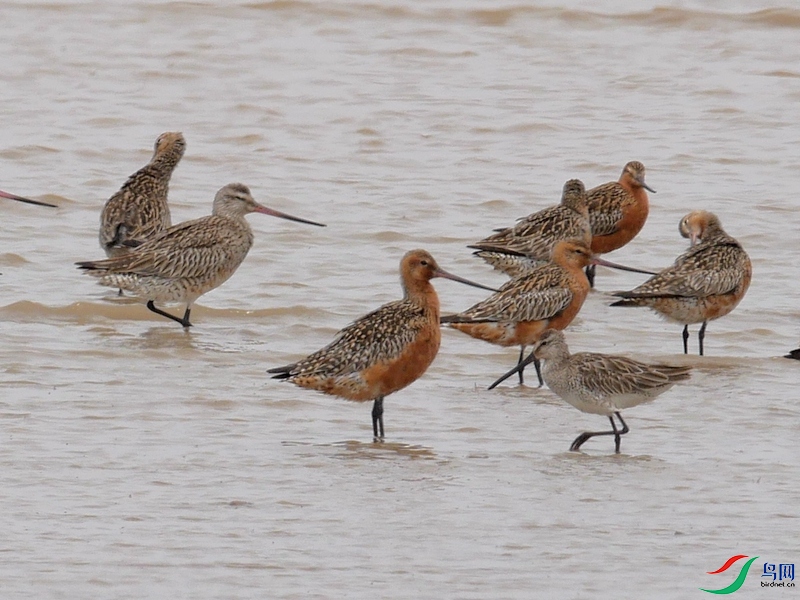 P6490243 - ����.JPG