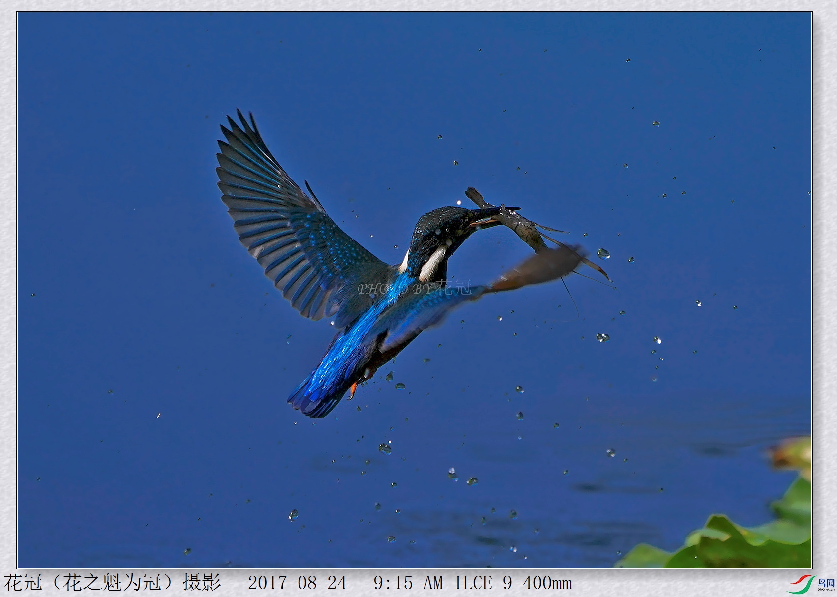 DSC00196B-2_����_����_����.jpg