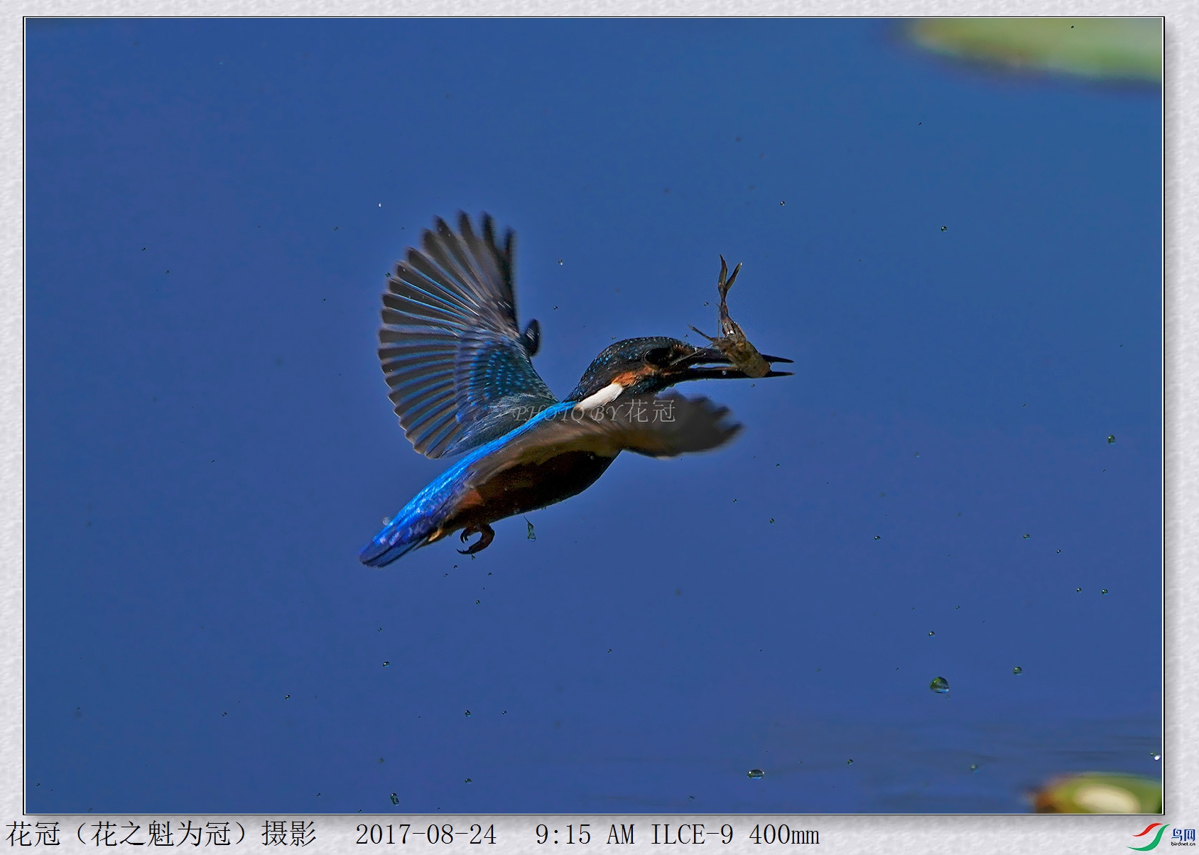 DSC00198B-2_����_����_����.jpg