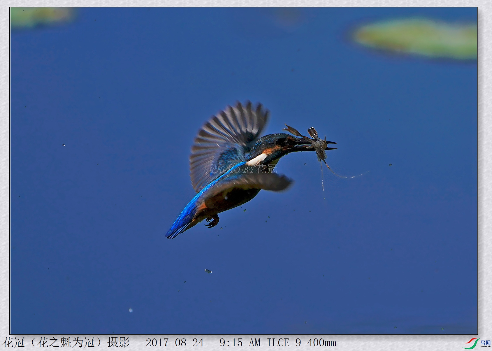 DSC00199B-2_����_����_����.jpg
