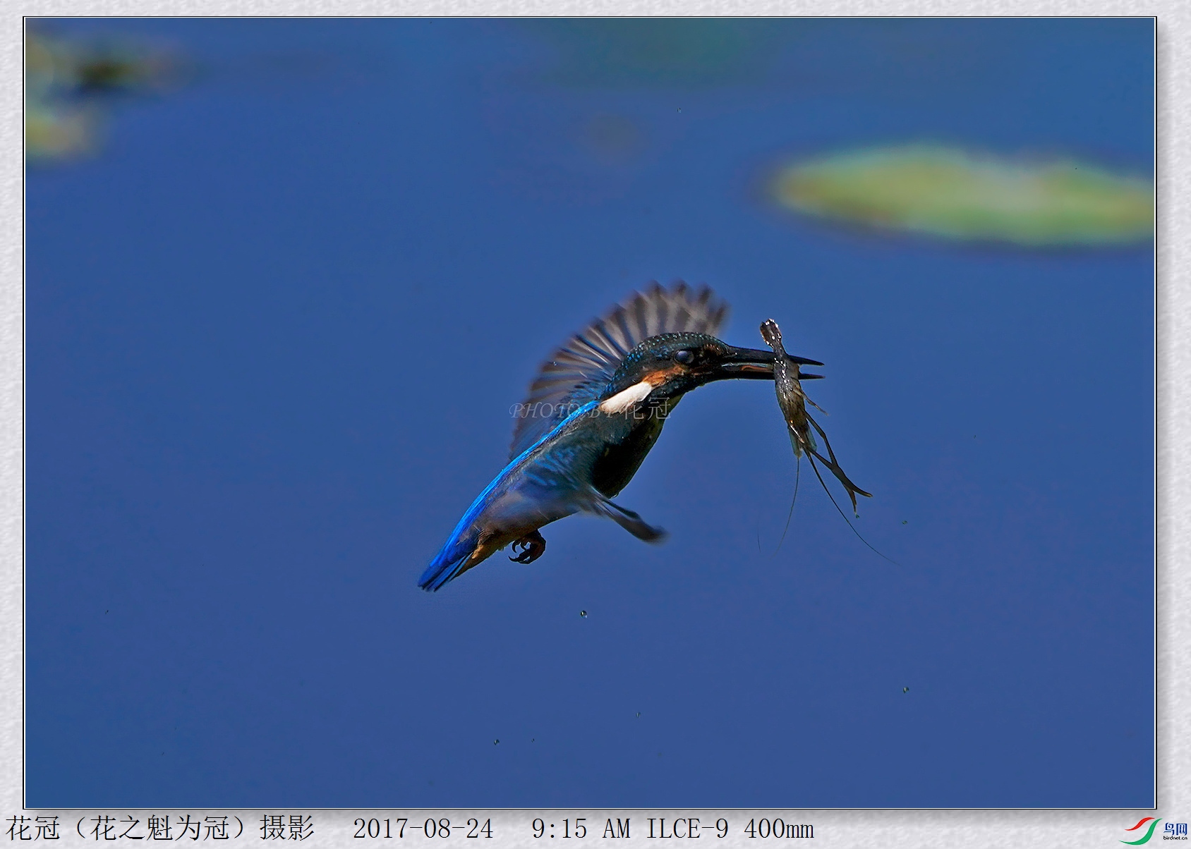 DSC00200B-2_����_����_����.jpg