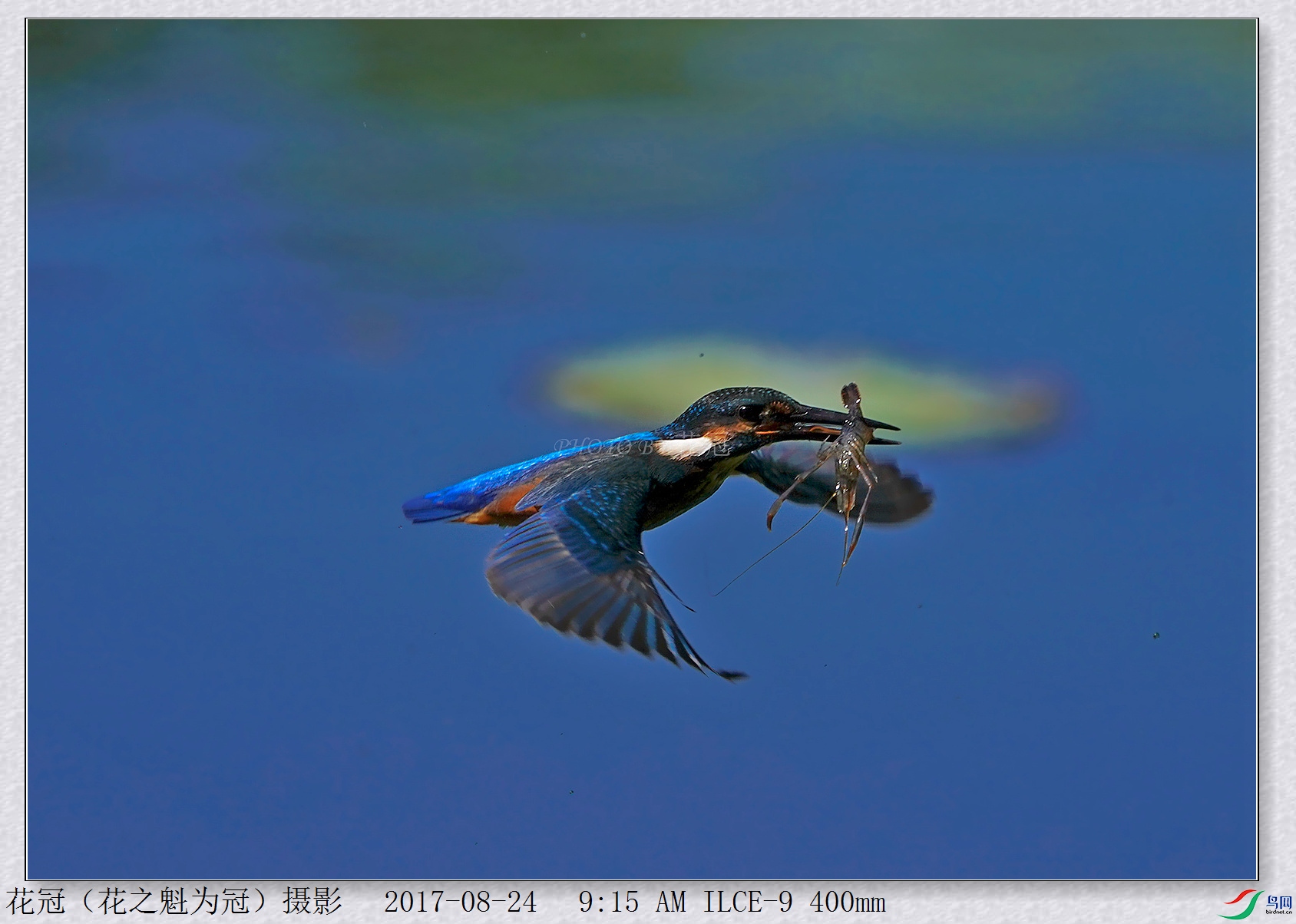 DSC00202B-2_����_����_����.jpg