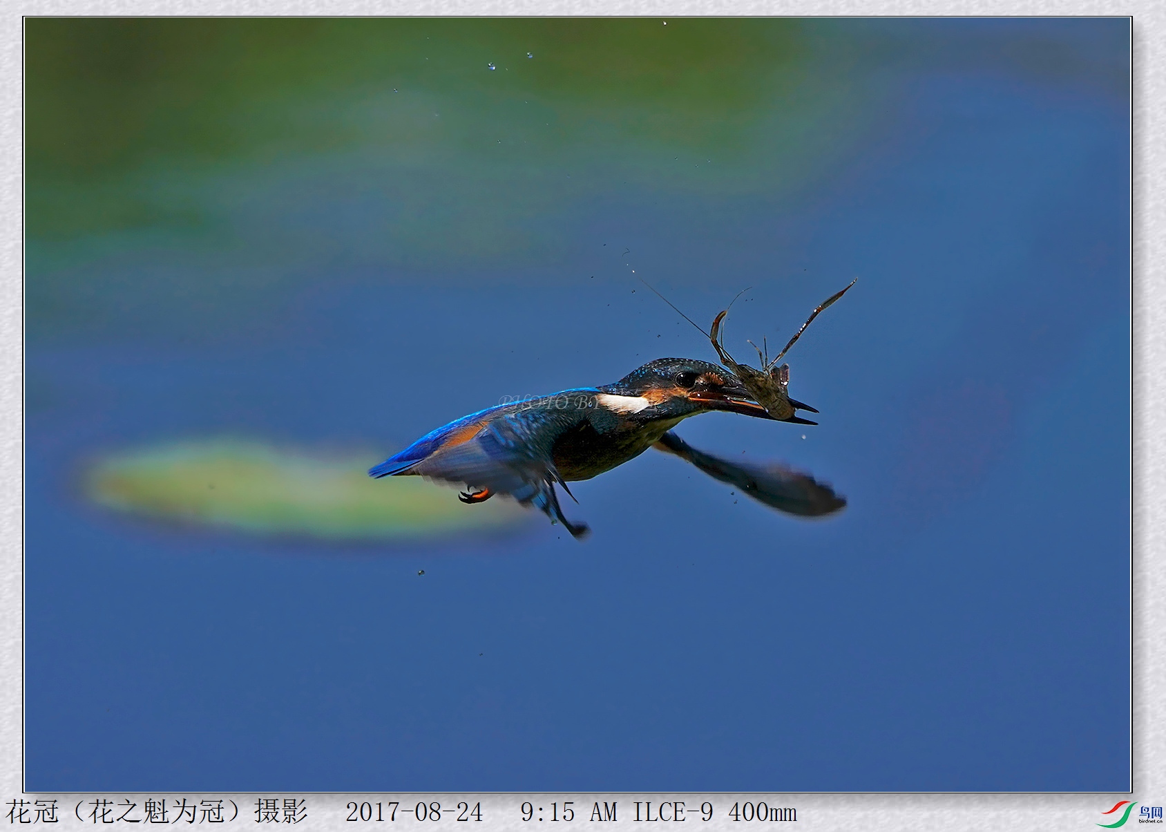 DSC00204B-2_����_����_����.jpg