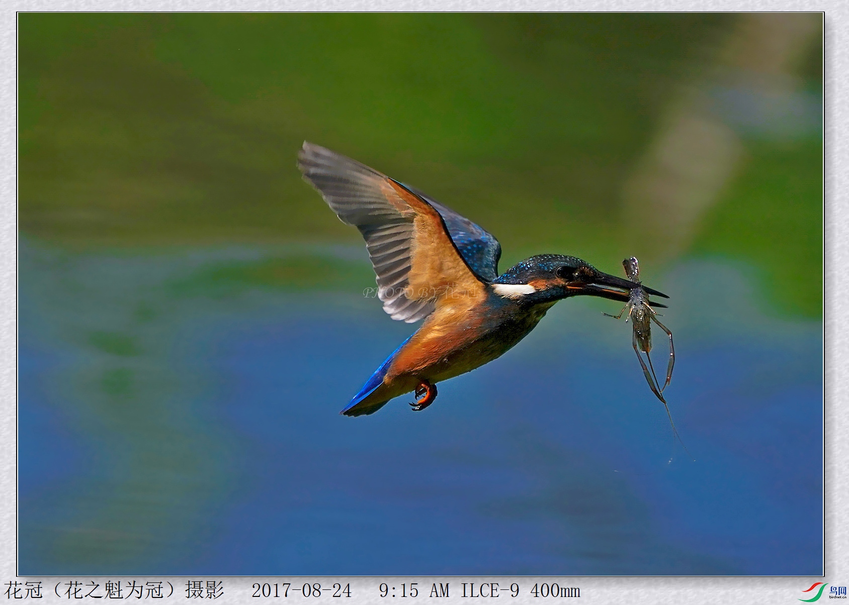 DSC00209B-2_����_����_����.jpg