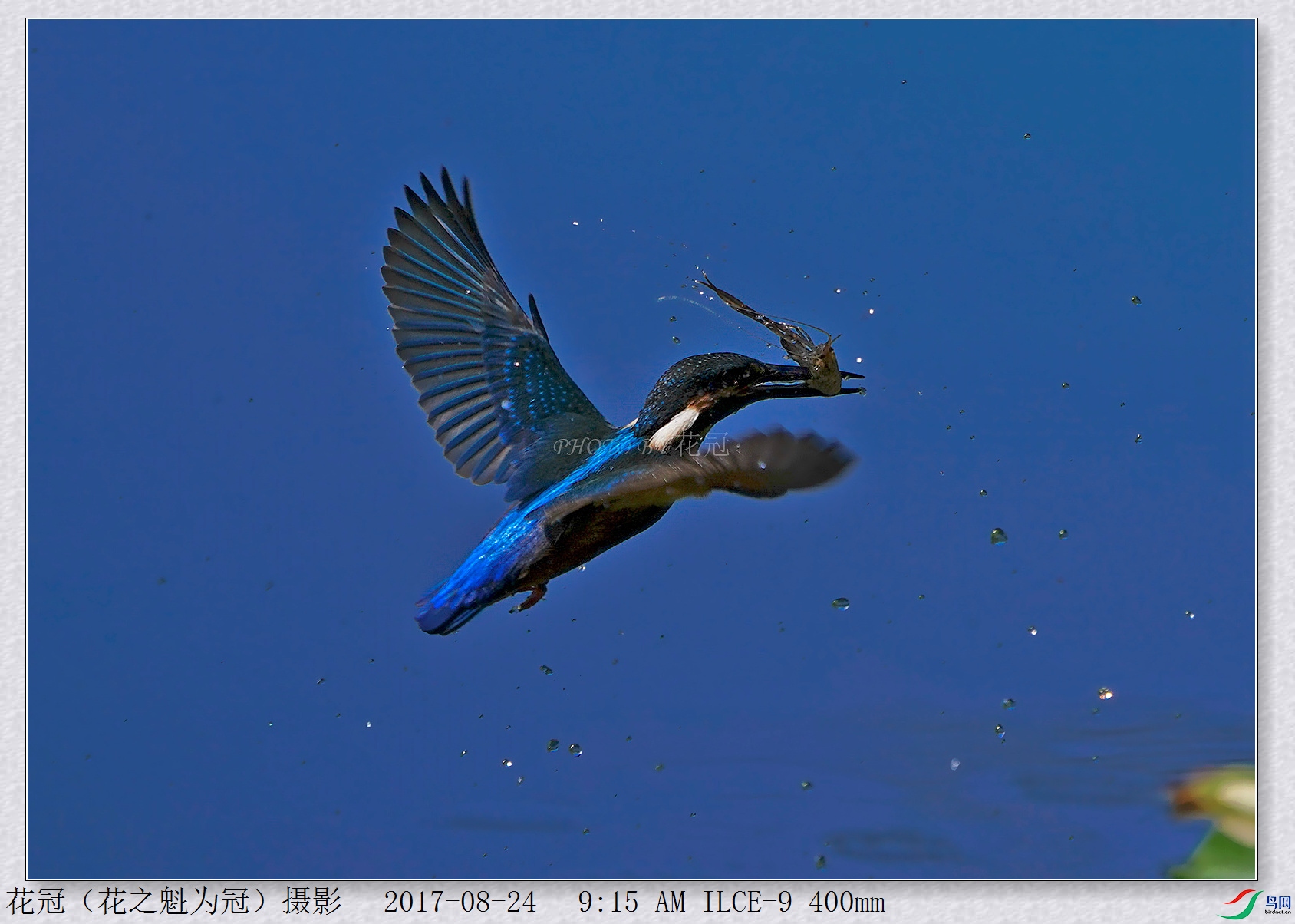 DSC00197B-2_����_����_����.jpg