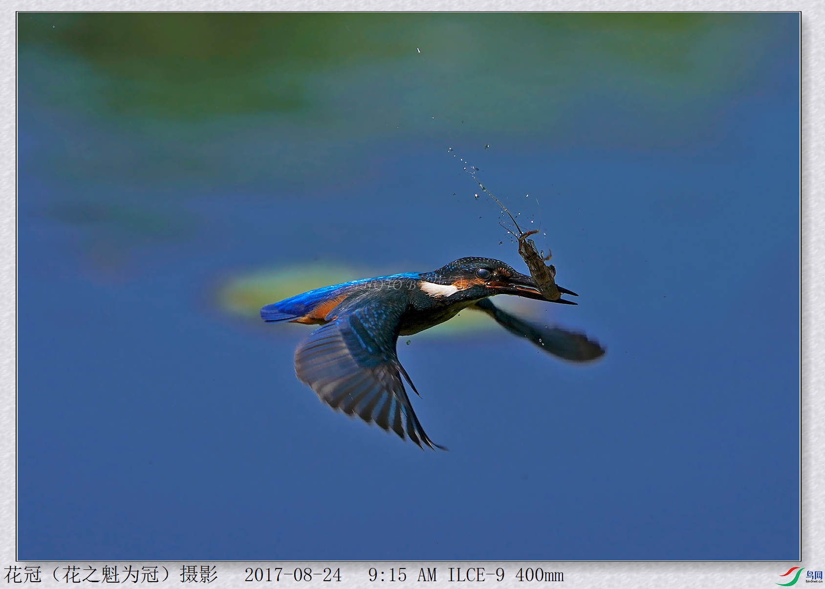 DSC00203B-2_����_����_����.jpg