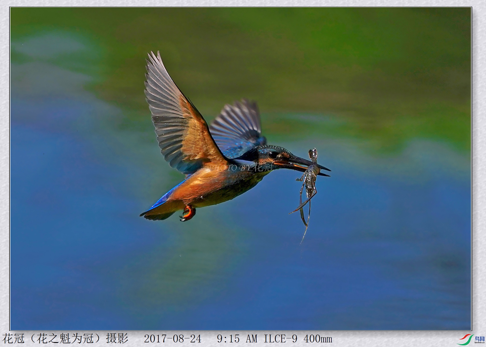 DSC00208B-2_����_����_����.jpg