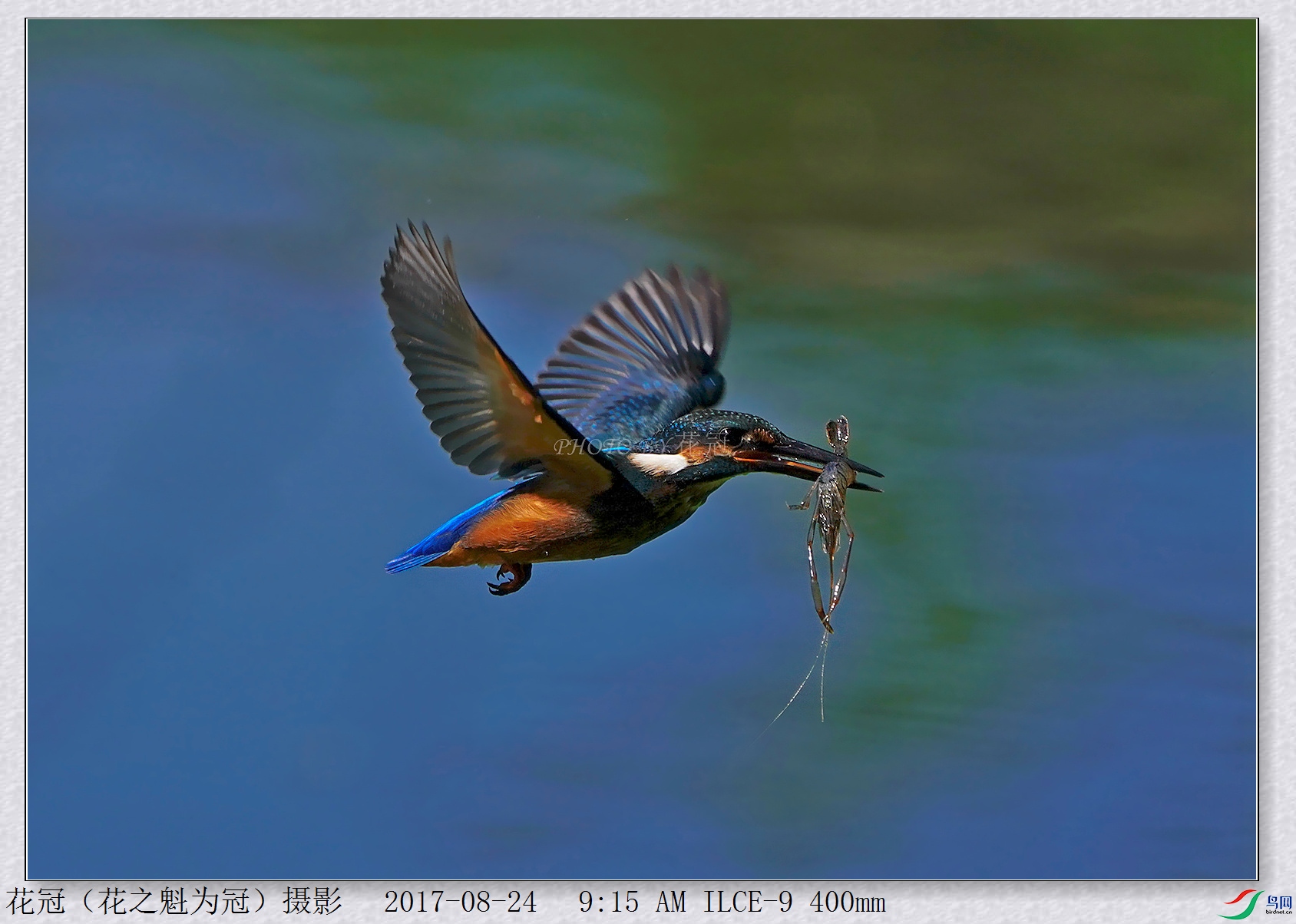 DSC00207B-2_����_����_����.jpg